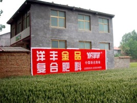 温州如何让墙体广告展现最大化效果