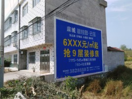 温州墙体广告质量分析