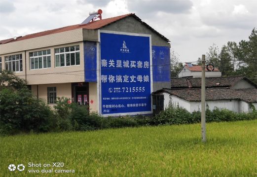 温州决定墙体广告价格的因素有哪些?