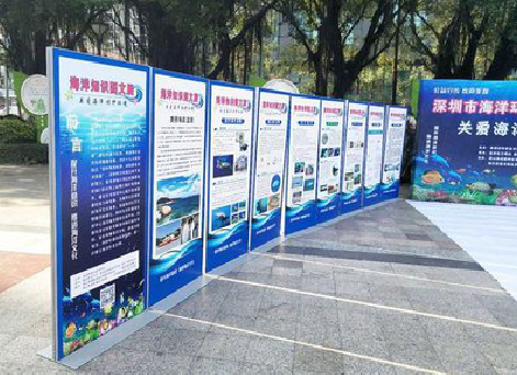 温州KT板的种类和知识。